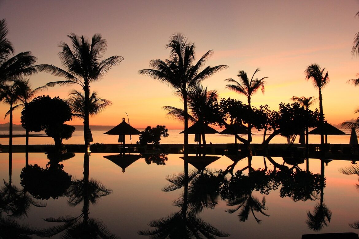 Spinnen auf Bali: So gefährlich ist der Inselurlaub wirklich – und was ihr wissen müsst