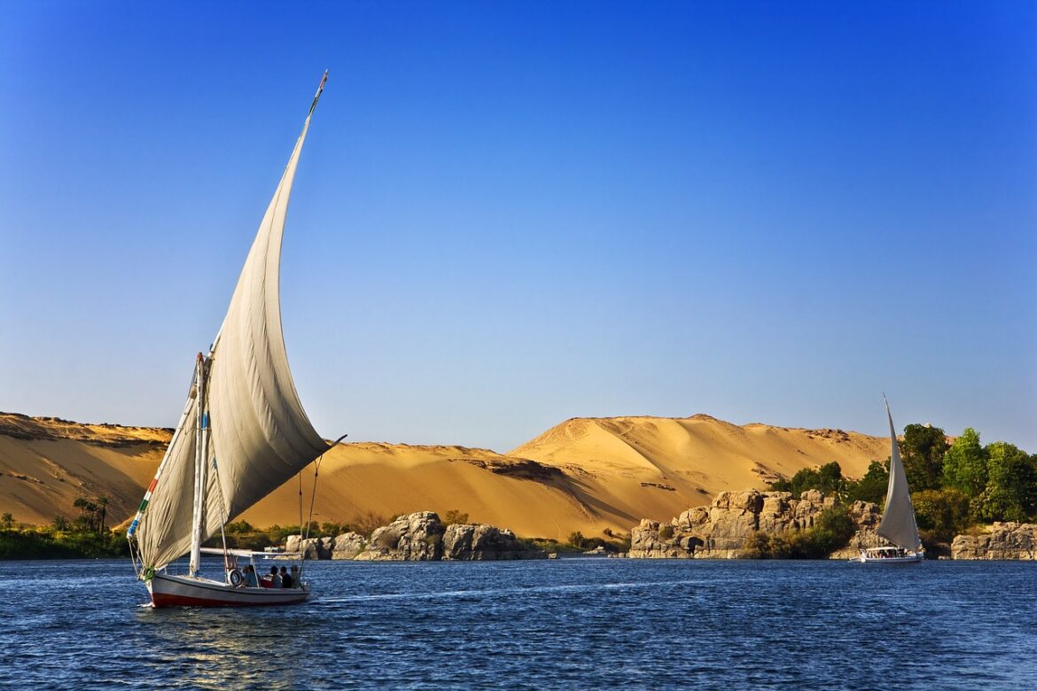 Hai-Alarm in Ägypten: Wie gefährlich ist das Rote Meer wirklich für euren Badeurlaub?
