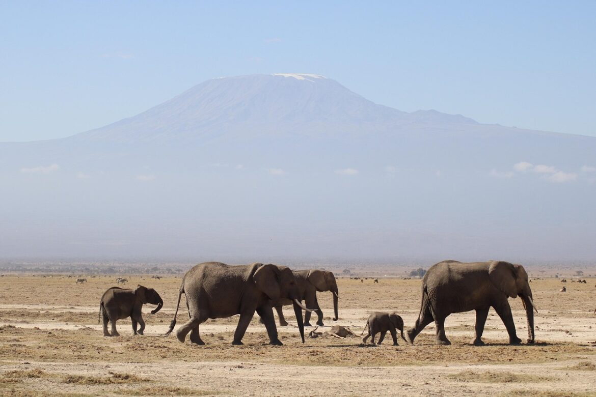 Afrika bricht auseinander: Warum der Kontinent reißt und was das für unsere Zukunft bedeutet