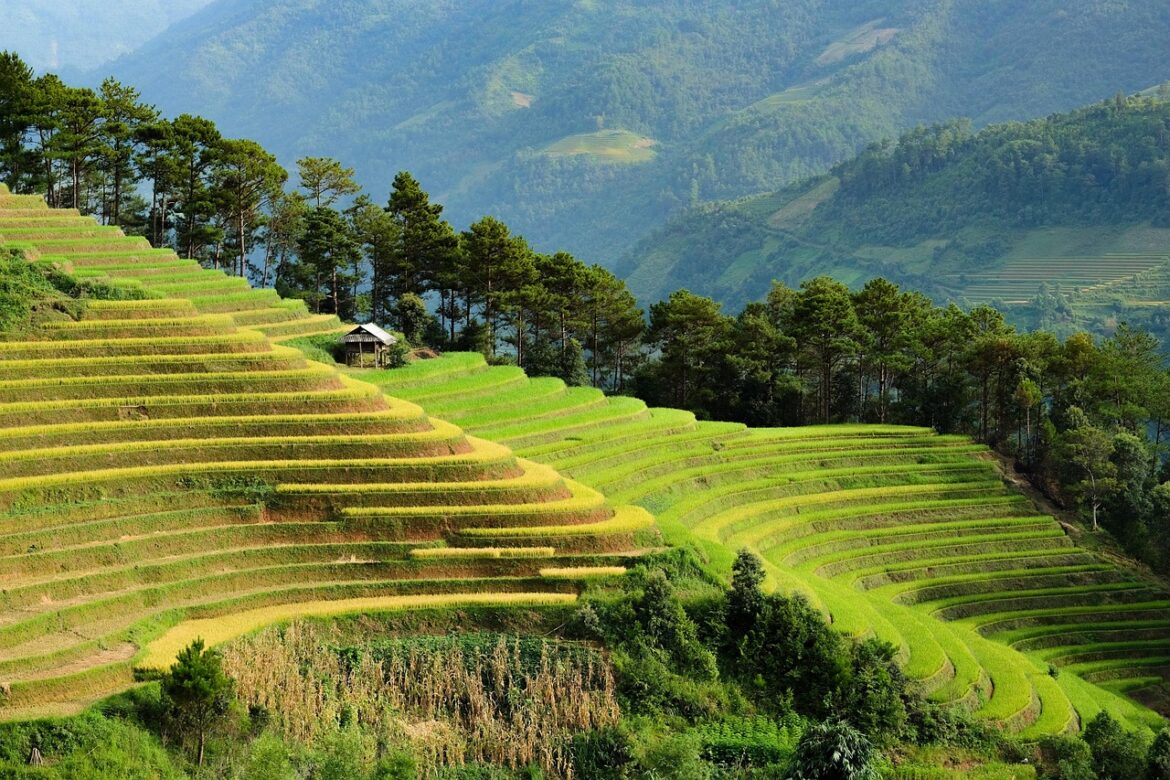 Sicher nach Asien reisen: Eure vollständige Impf‑ und Reiseapotheken‑Checkliste