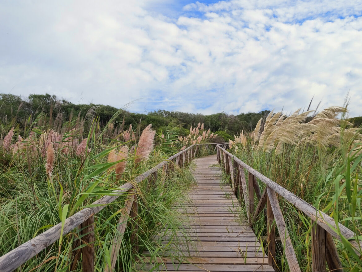 Warum echte Stille zur seltensten Luxusressource im Urlaub geworden ist
