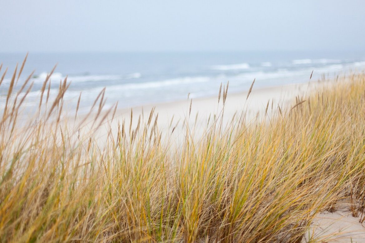 Wassertemperatur Ostsee: Wann sich ein Sprung ins Meer wirklich lohnt