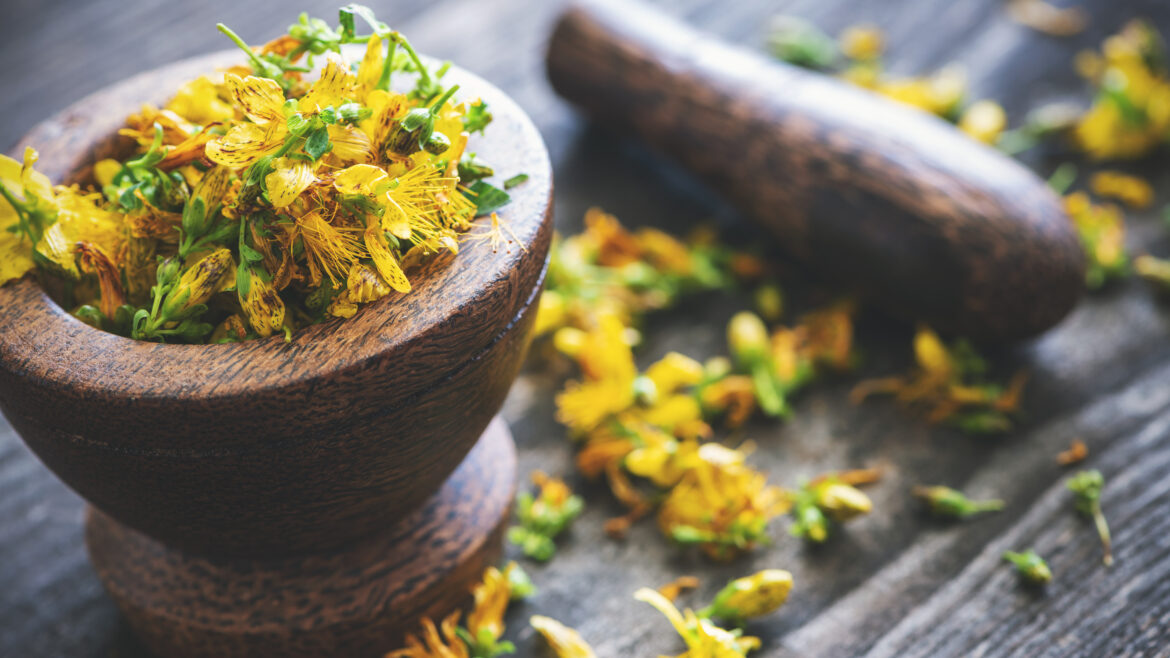 Ayurveda im Alpenraum – passt das überhaupt?